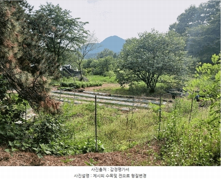 2025타경41880 경기도 안성시 양성면 덕봉리 산38-2 임야 경매 이미지