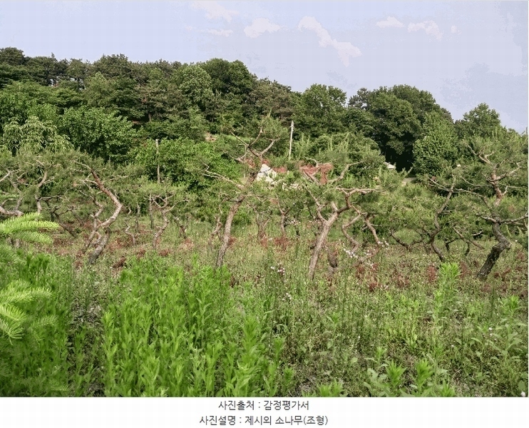 2025타경41880 경기도 안성시 양성면 덕봉리 산38-2 임야 경매 이미지