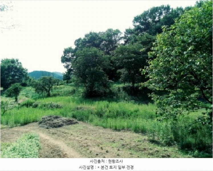 2025타경41880 경기도 안성시 양성면 덕봉리 산38-2 임야 경매 이미지