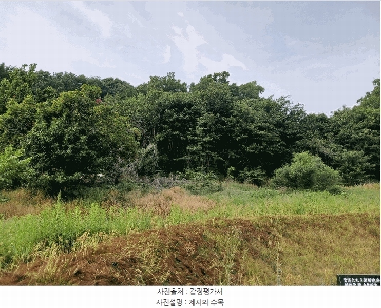 2025타경41880 경기도 안성시 양성면 덕봉리 산38-2 임야 경매 이미지