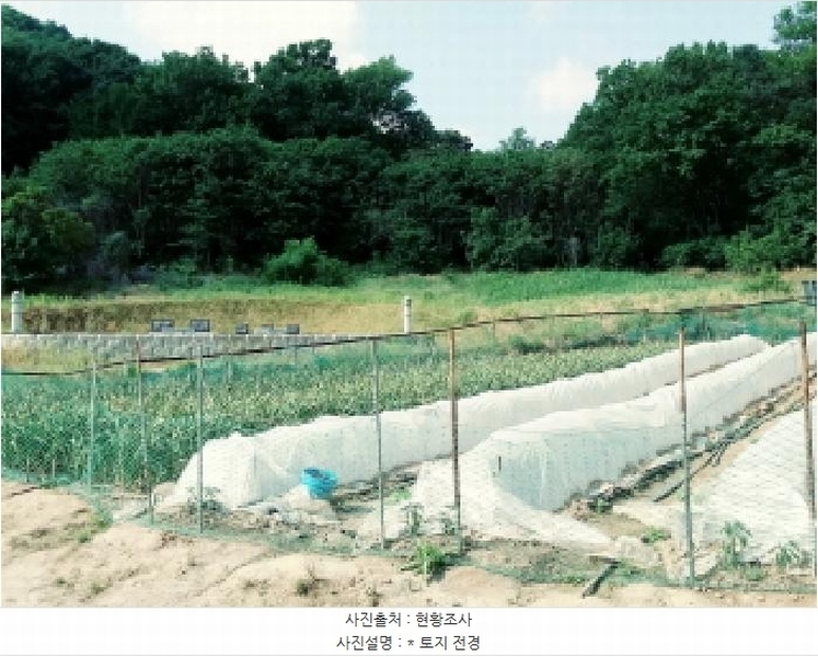 2025타경41880 경기도 안성시 양성면 덕봉리 산38-2 임야 경매 이미지