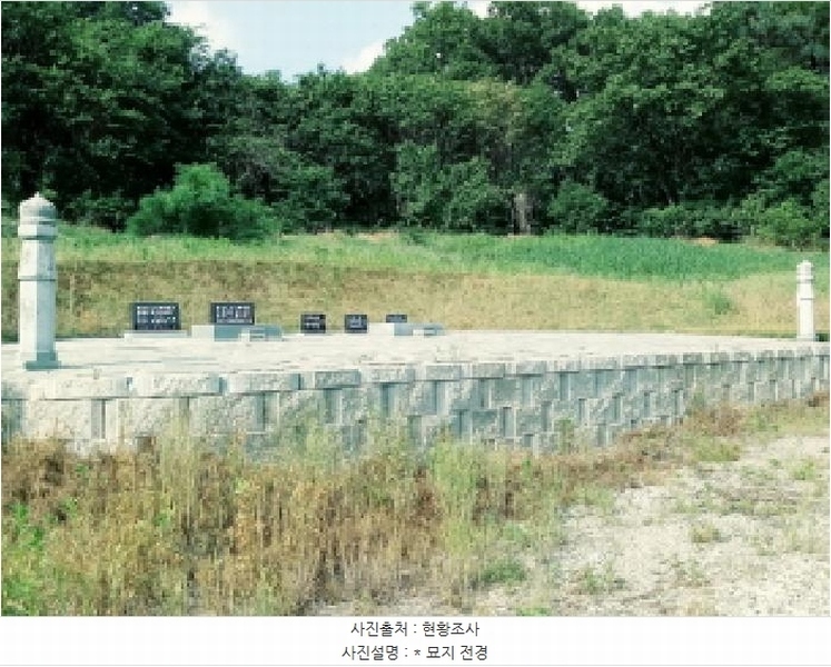 2025타경41880 경기도 안성시 양성면 덕봉리 산38-2 임야 경매 이미지