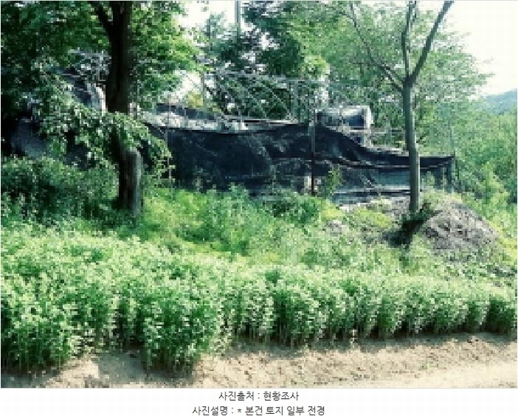 2025타경41880 경기도 안성시 양성면 덕봉리 산38-2 임야 경매 이미지