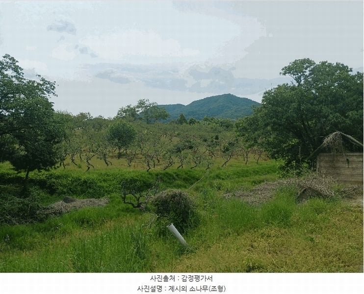 2025타경41880 경기도 안성시 양성면 덕봉리 산38-2 임야 경매 이미지