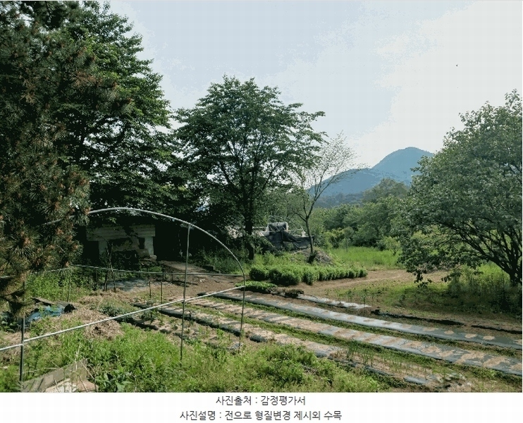 2025타경41880 경기도 안성시 양성면 덕봉리 산38-2 임야 경매 이미지