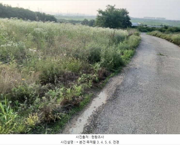 2025타경41979 경기도 평택시 팽성읍 신대리 261 임야 경매 이미지