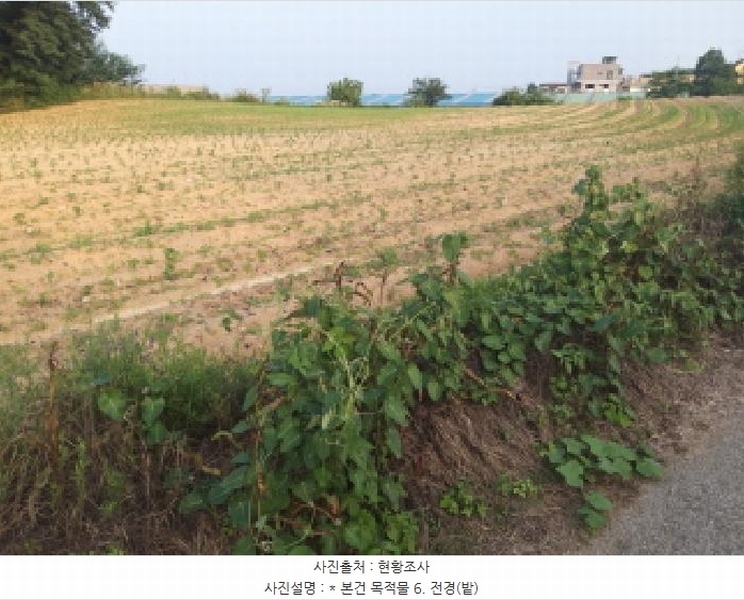 2025타경41979 경기도 평택시 팽성읍 신대리 261 임야 경매 이미지