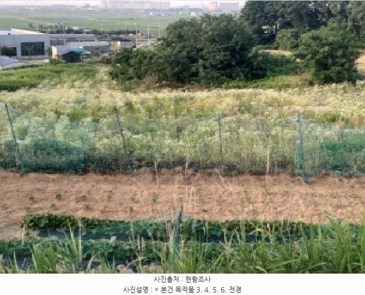 2025타경41979 경기도 평택시 팽성읍 신대리 261 임야 경매 이미지