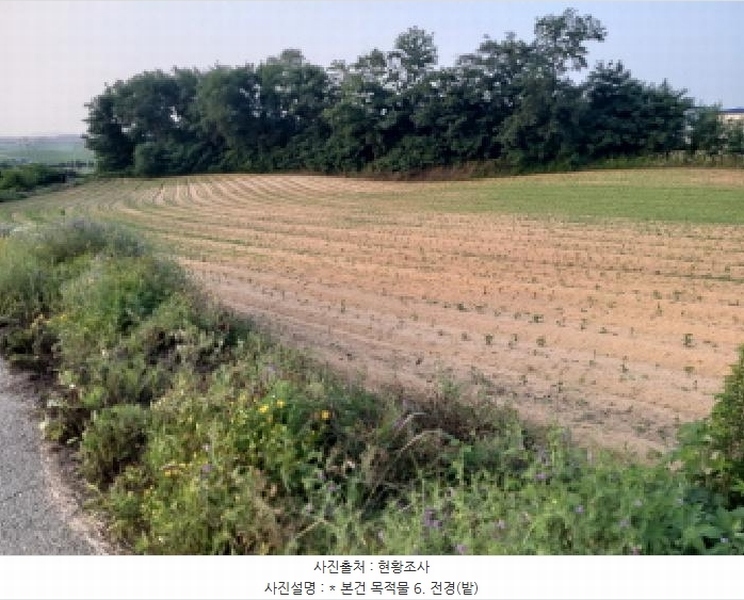 2025타경41979 경기도 평택시 팽성읍 신대리 261 임야 경매 이미지