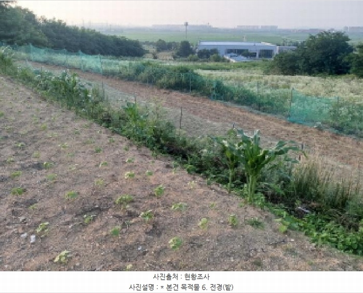 2025타경41979 경기도 평택시 팽성읍 신대리 261 임야 경매 이미지