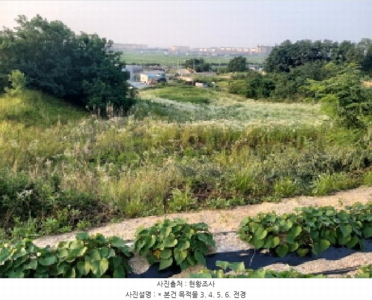 2025타경41979 경기도 평택시 팽성읍 신대리 261 임야 경매 이미지