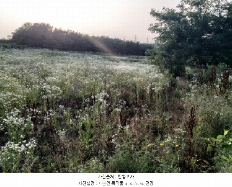 2025타경41979 경기도 평택시 팽성읍 신대리 261 임야 경매 이미지
