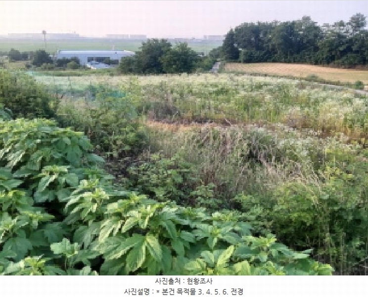 2025타경41979 경기도 평택시 팽성읍 신대리 261 임야 경매 이미지