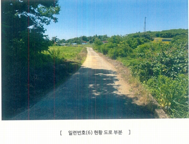 2025타경41979 경기도 평택시 팽성읍 신대리 261 임야 경매 이미지