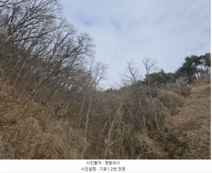 2025타경10174 경상북도 영주시 평은면 금광리 산42-1 임야 경매 이미지