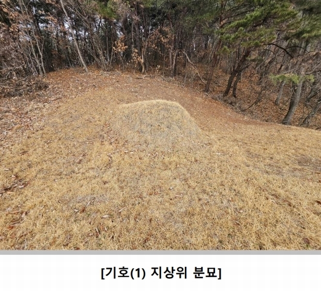 2025타경10174 경상북도 영주시 평은면 금광리 산42-1 임야 경매 이미지