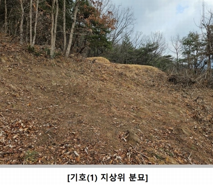 2025타경10174 경상북도 영주시 평은면 금광리 산42-1 임야 경매 이미지