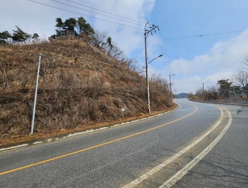 2025타경10174 경상북도 영주시 평은면 금광리 산42-1 임야 경매 이미지