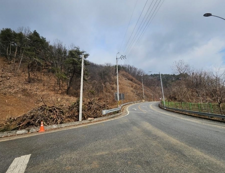 2025타경10174 경상북도 영주시 평은면 금광리 산42-1 임야 경매 이미지