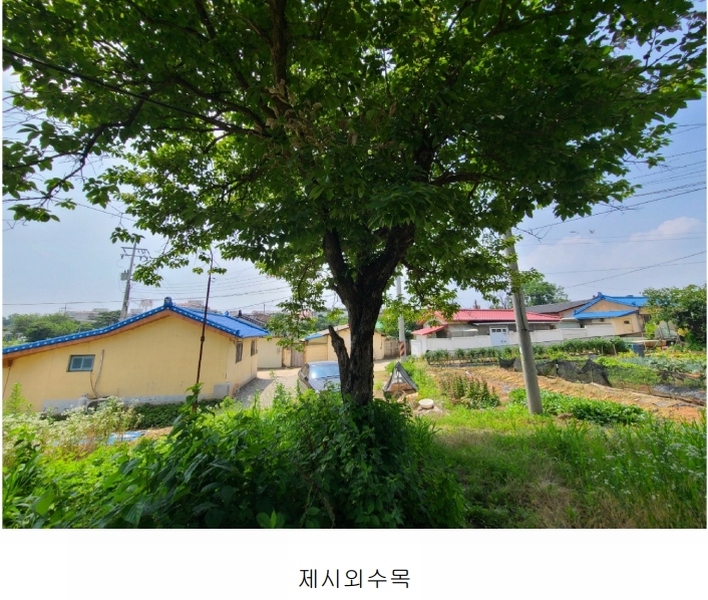 2024타경2867 경기도 평택시 팽성읍 안정리 106-8 주택 경매 이미지