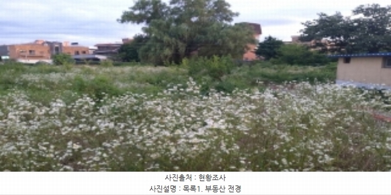 2024타경2867 경기도 평택시 팽성읍 안정리 106-8 주택 경매 이미지