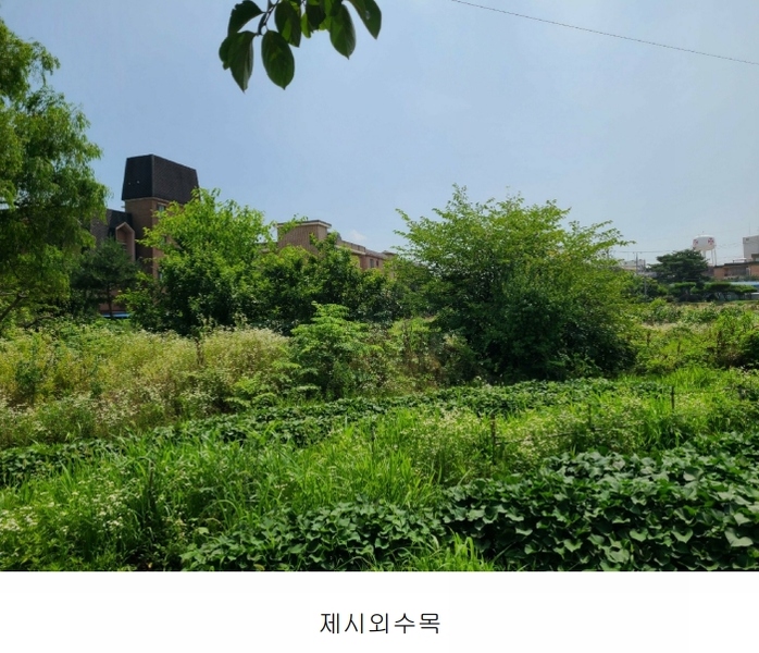 2024타경2867 경기도 평택시 팽성읍 안정리 106-8 주택 경매 이미지