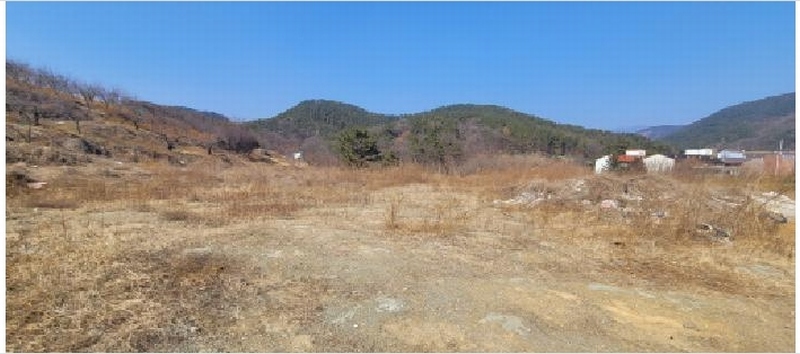2025타경598 대구광역시 동구 봉무동 951 농지 경매 이미지