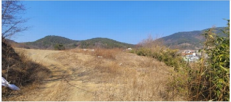 2025타경598 대구광역시 동구 봉무동 951 농지 경매 이미지