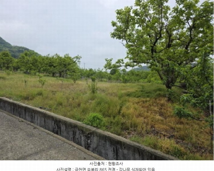 2025타경673 경상북도 청도군 금천면 오봉리 865 농지 경매 이미지