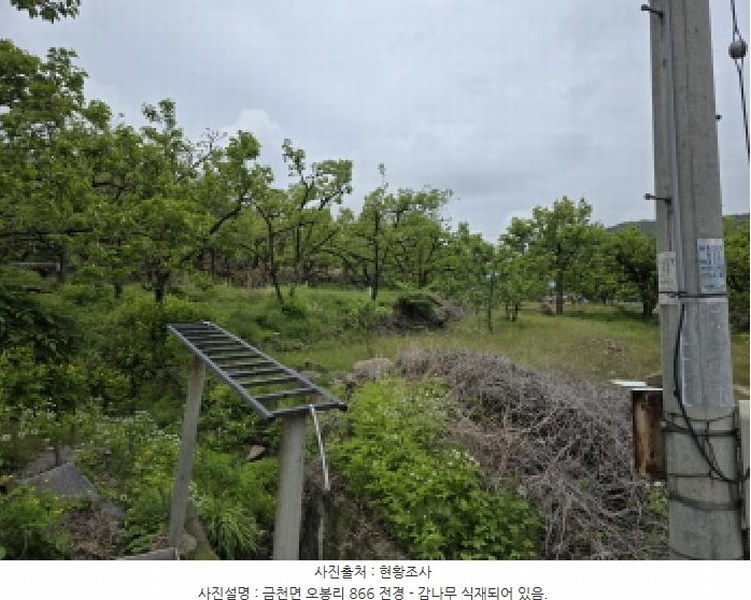 2025타경673 경상북도 청도군 금천면 오봉리 865 농지 경매 이미지