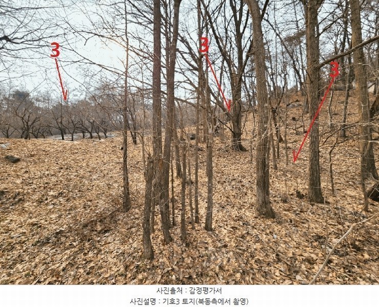 2025타경41477 경기도 안성시 삼죽면 내강리 157-2 농지 경매 이미지