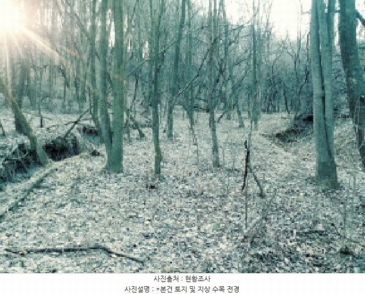 2025타경41477 경기도 안성시 삼죽면 내강리 157-2 농지 경매 이미지