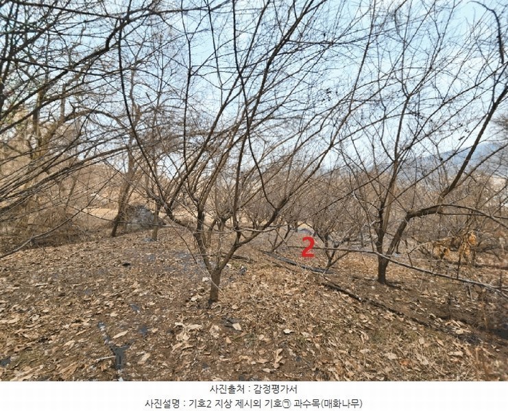2025타경41477 경기도 안성시 삼죽면 내강리 157-2 농지 경매 이미지