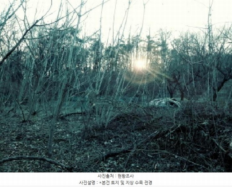 2025타경41477 경기도 안성시 삼죽면 내강리 157-2 농지 경매 이미지