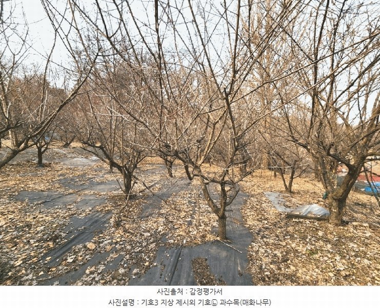 2025타경41477 경기도 안성시 삼죽면 내강리 157-2 농지 경매 이미지