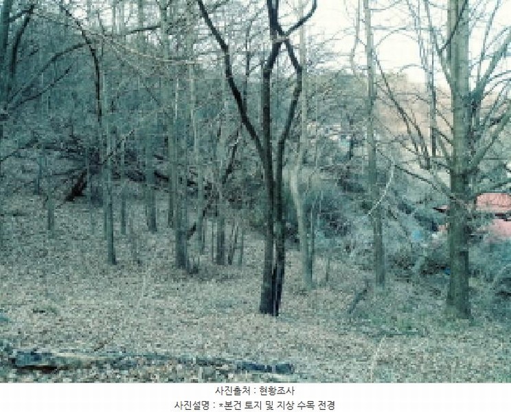 2025타경41477 경기도 안성시 삼죽면 내강리 157-2 농지 경매 이미지