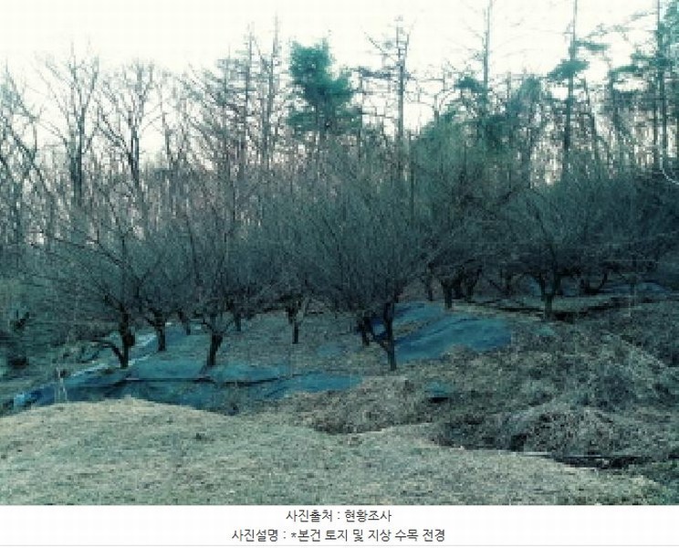 2025타경41477 경기도 안성시 삼죽면 내강리 157-2 농지 경매 이미지