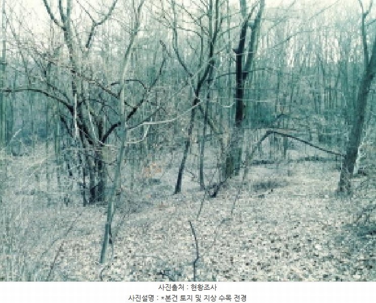 2025타경41477 경기도 안성시 삼죽면 내강리 157-2 농지 경매 이미지