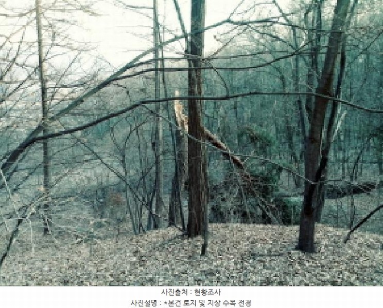 2025타경41477 경기도 안성시 삼죽면 내강리 157-2 농지 경매 이미지