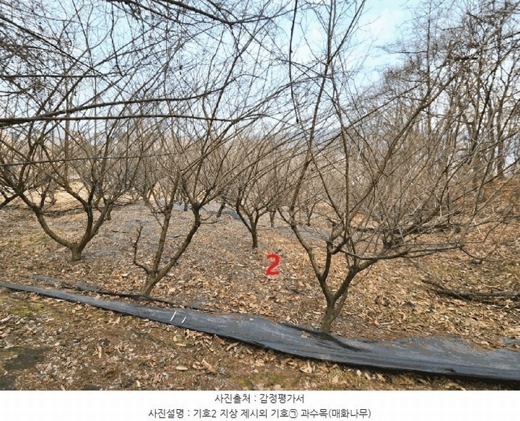 2025타경41477 경기도 안성시 삼죽면 내강리 157-2 농지 경매 이미지