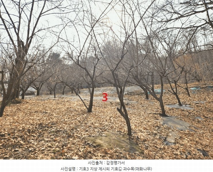 2025타경41477 경기도 안성시 삼죽면 내강리 157-2 농지 경매 이미지