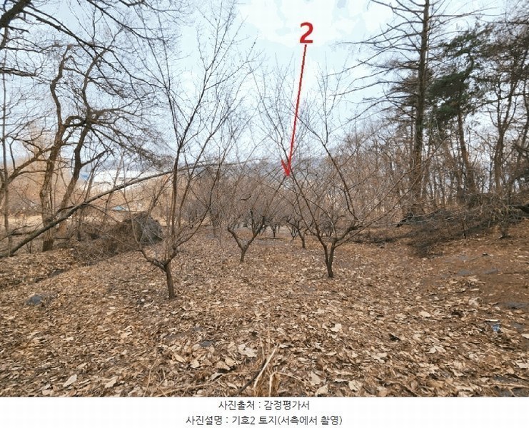 2025타경41477 경기도 안성시 삼죽면 내강리 157-2 농지 경매 이미지