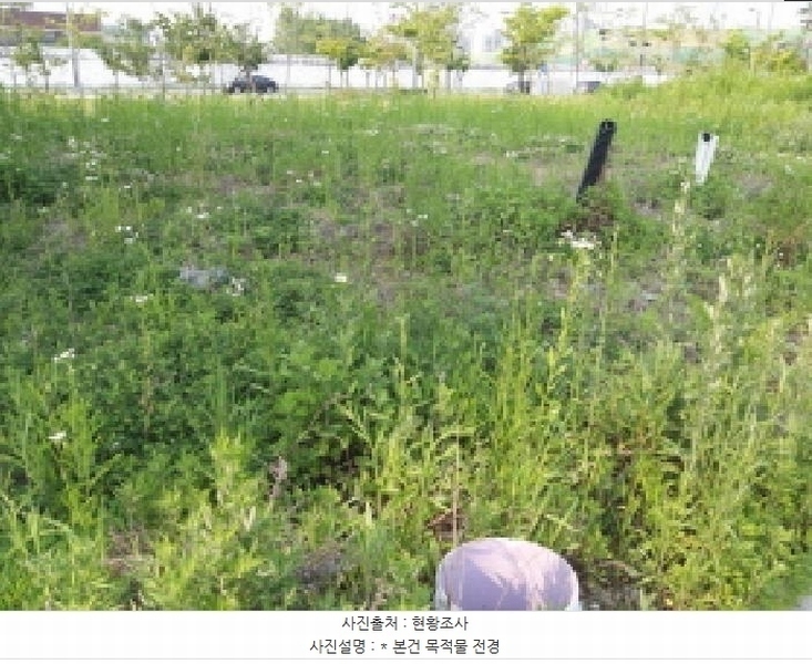 2025타경41912 경기도 평택시 고덕동 2025-3 대지 경매 이미지