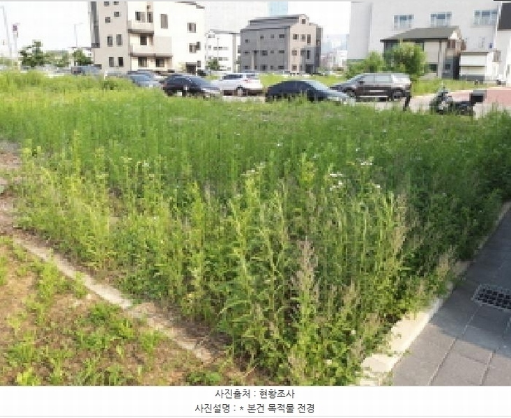 2025타경41912 경기도 평택시 고덕동 2025-3 대지 경매 이미지