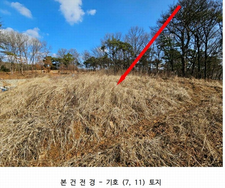 2024타경373 경기도 평택시 안중읍 덕우리 167-23 임야 경매 이미지