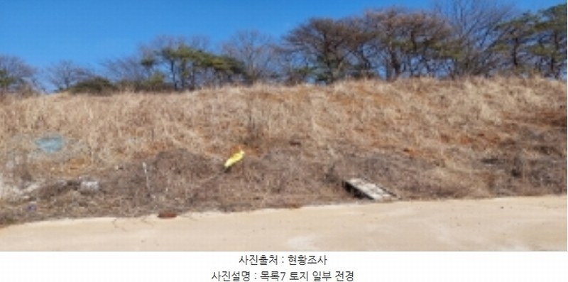 2024타경373 경기도 평택시 안중읍 덕우리 167-23 임야 경매 이미지