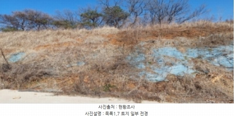 2024타경373 경기도 평택시 안중읍 덕우리 167-23 임야 경매 이미지