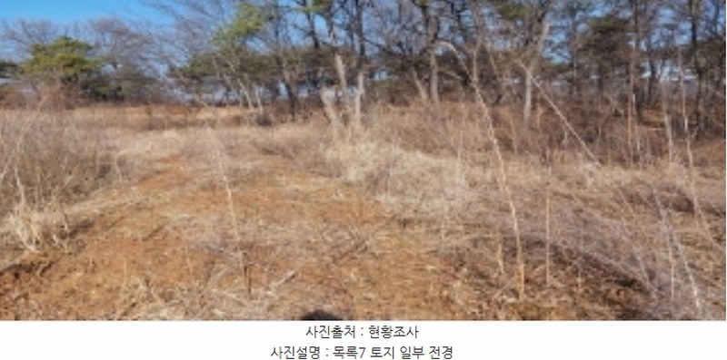 2024타경373 경기도 평택시 안중읍 덕우리 167-23 임야 경매 이미지