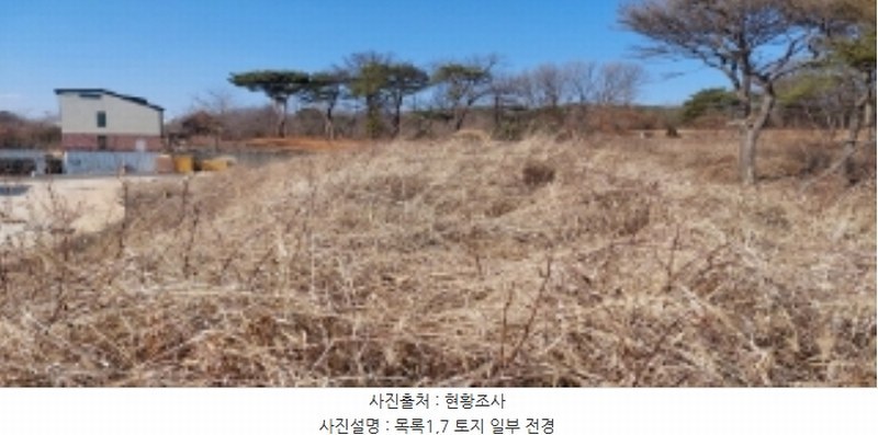 2024타경373 경기도 평택시 안중읍 덕우리 167-23 임야 경매 이미지