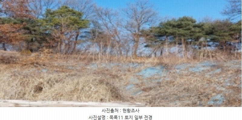 2024타경373 경기도 평택시 안중읍 덕우리 167-23 임야 경매 이미지